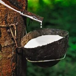 EVERGREENWEB - Correttore Materasso In Lattice Misura Matrimoniale 140x200 Alto 7 Cm Topper Letto Coprimaterasso Imbottitura Fiocco 100% Effetto Piuma Antiacaro Morbido Futon Ortopedico Fodera Bianca -LettoMania Italia 19943343 4