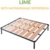EVERGREENWEB - Rete Letto Doghe Larghe 120x190 In Legno Ortopedica Con 4 Piedi Smontabili, Struttura Portante In Ferro Rinforzata, Base Da Incasso Per Tutti Tipi Di Letti E Materassi | LIME 1 EVERGREENWEB - Rete Letto Doghe Larghe 120x190 In Legno Ortopedica Con 4 Piedi Smontabili, Struttura Portante In Ferro Rinforzata, Base Da Incasso Per Tutti Tipi Di Letti E Materassi | LIME -LettoMania Italia 36293137 1