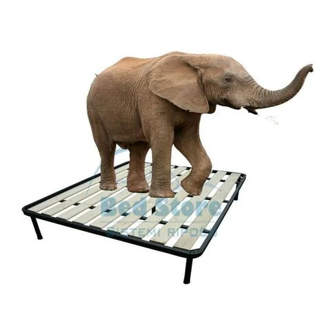 Bed Store® - RETE A TAVOLE FRANCESE 140X190 ORTOPEDICA RINFORZATA 5 PIEDI 5 Bed Store® - RETE A TAVOLE FRANCESE 140X190 ORTOPEDICA RINFORZATA 5 PIEDI - immagine 3