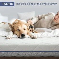 Materasso Singolo 80 X 190 Waterfoam Hybrid Supporto Sostenuto Ergonomico Rivestimento Termoregolatore Stretch Sfoderabile Naturalmente Anallergico Antibatterico E Antiacaro 11 Materasso Singolo 80 X 190 Waterfoam Hybrid Supporto Sostenuto Ergonomico Rivestimento Termoregolatore Stretch Sfoderabile Naturalmente Anallergico Antibatterico E Antiacaro -LettoMania Italia 97466708 5